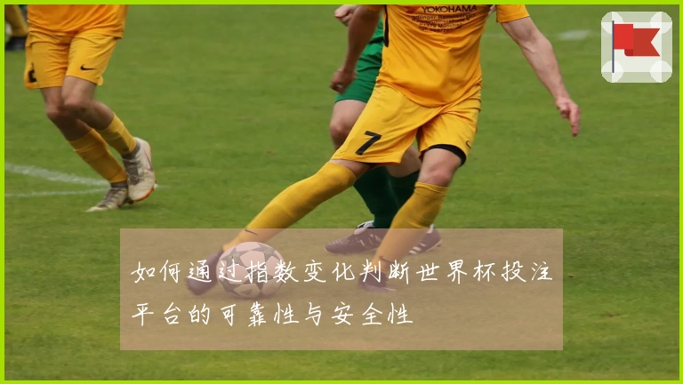 如何通过指数变化判断世界杯投注平台的可靠性与安全性