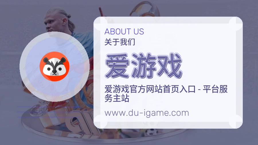 关于 爱游戏